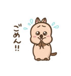 クオッカ！ほっこり優しいスタンプ（個別スタンプ：12）