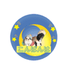 狆の露伴と狆チワ紅緒の日常系スタンプ（個別スタンプ：5）