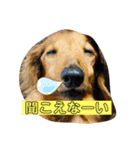 乙女＆王子（個別スタンプ：1）