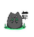 ゆるふわ黒ポメ日常スタンプ(ポメラニアン)（個別スタンプ：13）