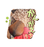 桃ちスタンプ 3（個別スタンプ：15）