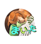 桃ちスタンプ 3（個別スタンプ：26）