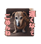 桃ちスタンプ 3（個別スタンプ：28）