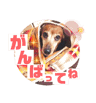 桃ちスタンプ 3（個別スタンプ：34）