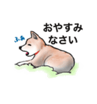 保護犬の空(くう)ちゃん【敬語】（個別スタンプ：4）