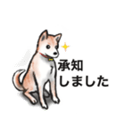 保護犬の空(くう)ちゃん【敬語】（個別スタンプ：7）