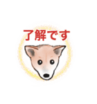 保護犬の空(くう)ちゃん【敬語】（個別スタンプ：8）