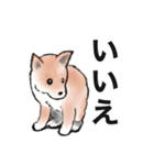 保護犬の空(くう)ちゃん【敬語】（個別スタンプ：10）