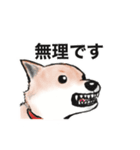 保護犬の空(くう)ちゃん【敬語】（個別スタンプ：11）