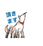 保護犬の空(くう)ちゃん【敬語】（個別スタンプ：12）