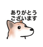 保護犬の空(くう)ちゃん【敬語】（個別スタンプ：13）