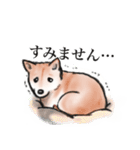 保護犬の空(くう)ちゃん【敬語】（個別スタンプ：14）