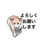 保護犬の空(くう)ちゃん【敬語】（個別スタンプ：22）