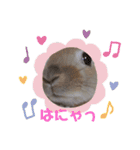 クンカクンカ調査隊 vol.1（個別スタンプ：2）