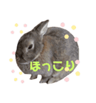 クンカクンカ調査隊 vol.1（個別スタンプ：10）
