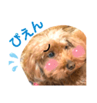 もふもふトイプードル！！チャコちゃん その2（個別スタンプ：18）