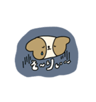 たれみみdog（個別スタンプ：12）