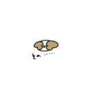 たれみみdog（個別スタンプ：14）
