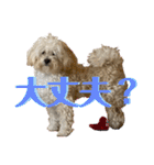 トラトラトララジオ体操（個別スタンプ：14）