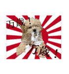 トラトラトララジオ体操（個別スタンプ：23）