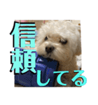 トラトラトララジオ体操（個別スタンプ：28）