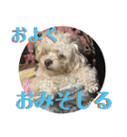 トラトラトララジオ体操（個別スタンプ：32）
