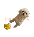 トラトラトララジオ体操（個別スタンプ：38）