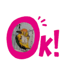 しろはらーさんNO.5（個別スタンプ：12）