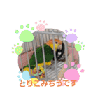 しろはらーさんNO.5（個別スタンプ：14）