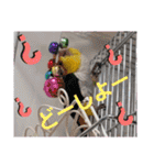 しろはらーさんNO.5（個別スタンプ：17）