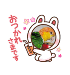 しろはらーさんNO.5（個別スタンプ：23）