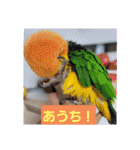 しろはらーさんNO.5（個別スタンプ：24）