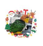しろはらーさんNO.5（個別スタンプ：27）