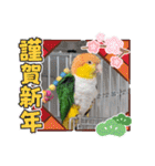 しろはらーさんNO.5（個別スタンプ：35）