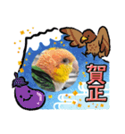 しろはらーさんNO.5（個別スタンプ：36）