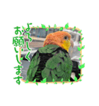 しろはらーさんNO.5（個別スタンプ：40）