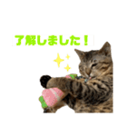 可愛いよケバブ。可愛いよ。（個別スタンプ：7）