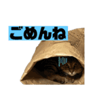可愛いよケバブ。可愛いよ。（個別スタンプ：9）