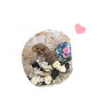 くぅ、パール、ふくの日常スタンプ（個別スタンプ：4）