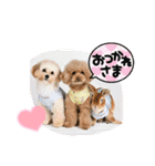 くぅ、パール、ふくの日常スタンプ（個別スタンプ：18）
