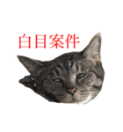 原家のパフパフスタンプ（個別スタンプ：9）