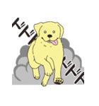 Adorable Labrador（個別スタンプ：14）