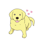 Adorable Labrador（個別スタンプ：17）