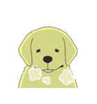 Adorable Labrador（個別スタンプ：18）