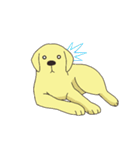 Adorable Labrador（個別スタンプ：19）