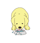 Adorable Labrador（個別スタンプ：20）