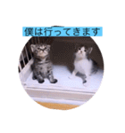 ガッシーねこーず40にゃんシリーズ㉘（個別スタンプ：12）