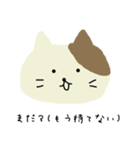にゃんみぃたんのきもち（個別スタンプ：12）