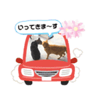 animalひらがな（個別スタンプ：15）