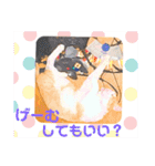 animalひらがな（個別スタンプ：19）